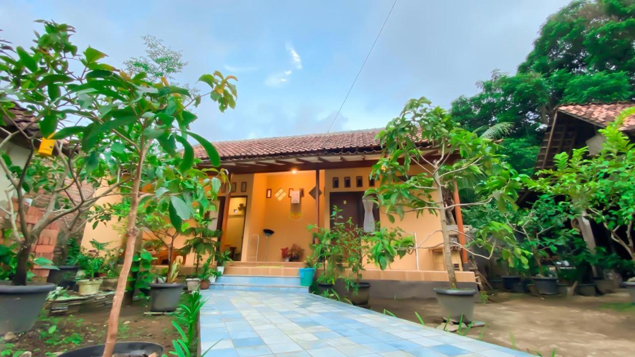 Nitha Homestay Banyuwangi  Exteriér fotografie