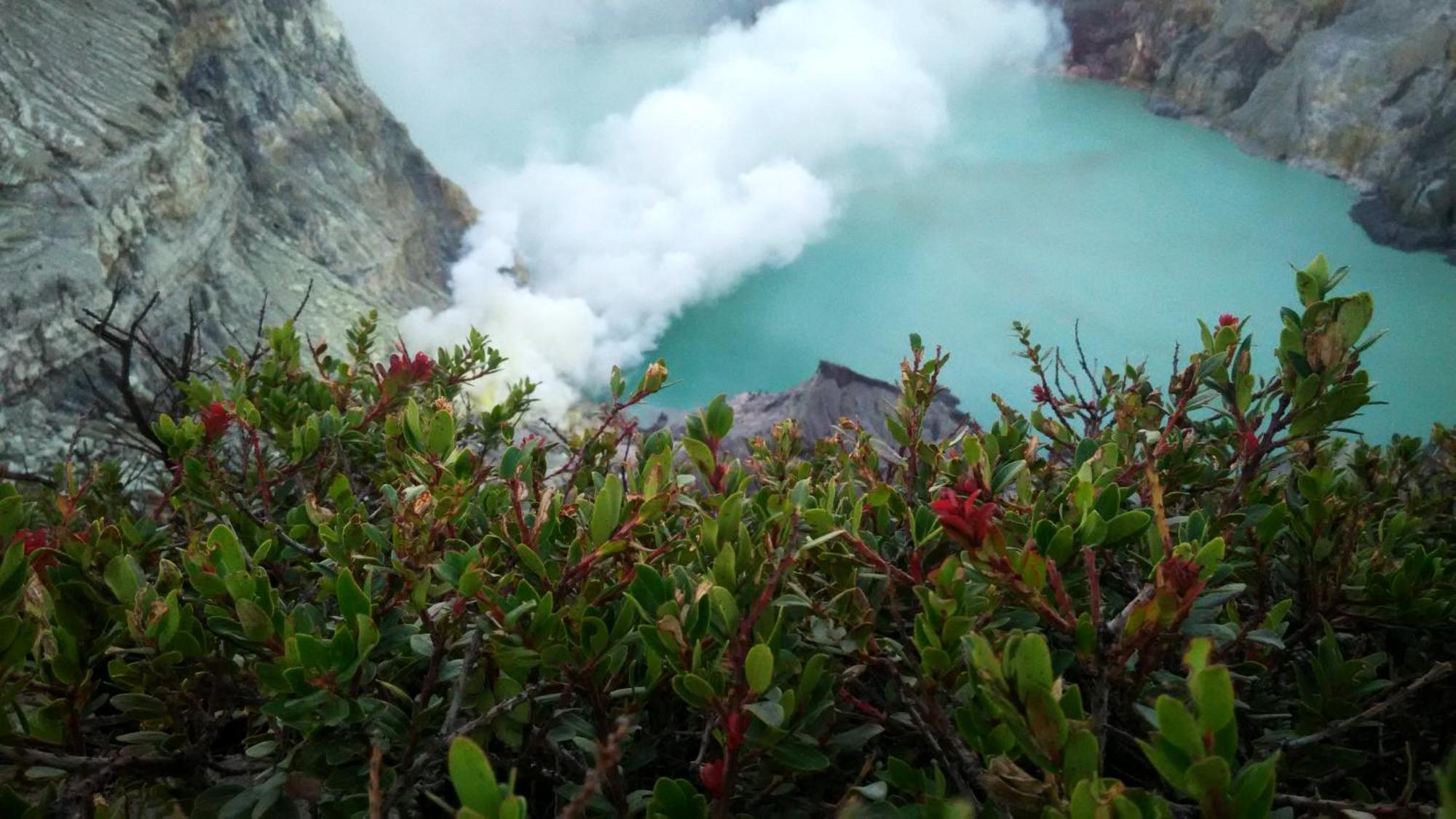 Nitha Homestay Banyuwangi  Exteriér fotografie