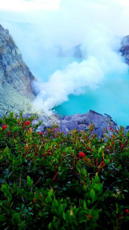 Nitha Homestay Banyuwangi  Exteriér fotografie