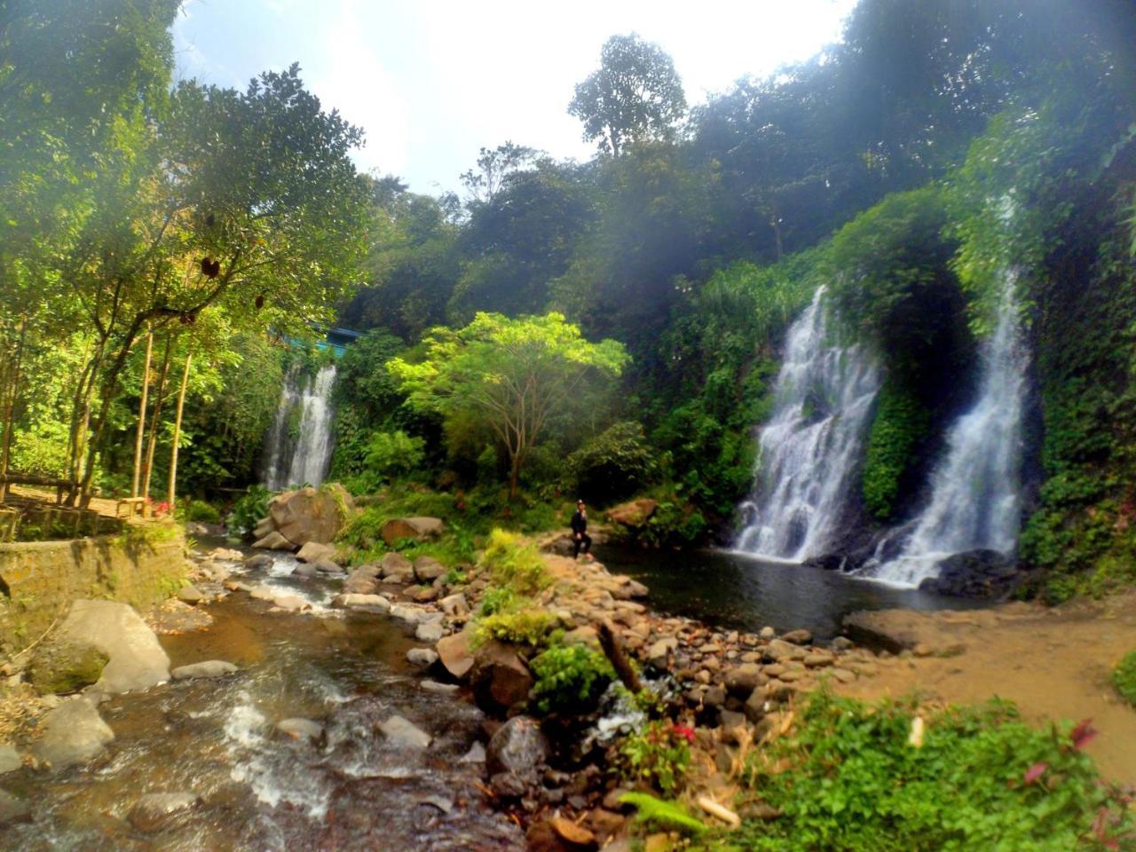 Nitha Homestay Banyuwangi  Exteriér fotografie